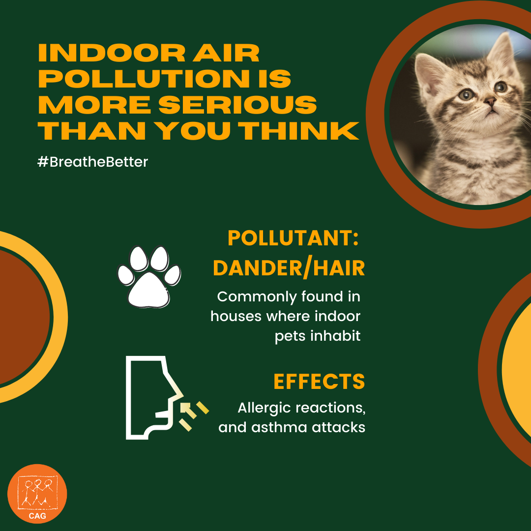 Indoor Air Pollution Dander and Hair from Pets Climate Connection